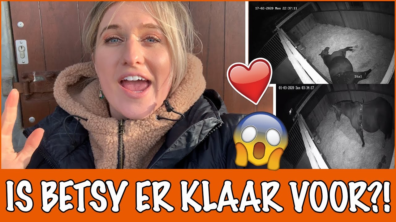 Wanneer gaat Betsy bevallen? | PaardenpraatTV