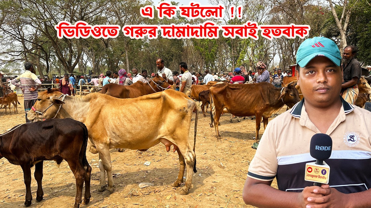 এ কি ঘটলো ! 
