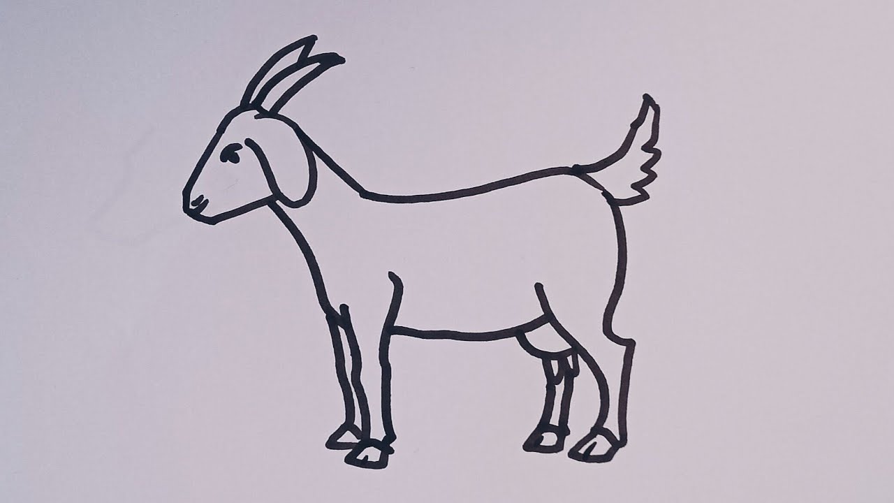 How to draw a Goat 🐐 Easy step by step