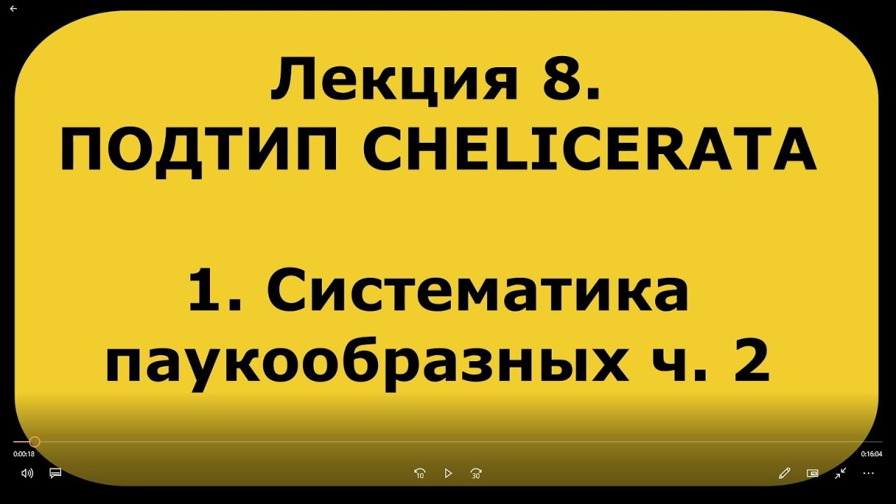 Зоология беспозвоночных. Лекция 8. Подтип  CHELICERATA. Систематика паукообразных ч. 2