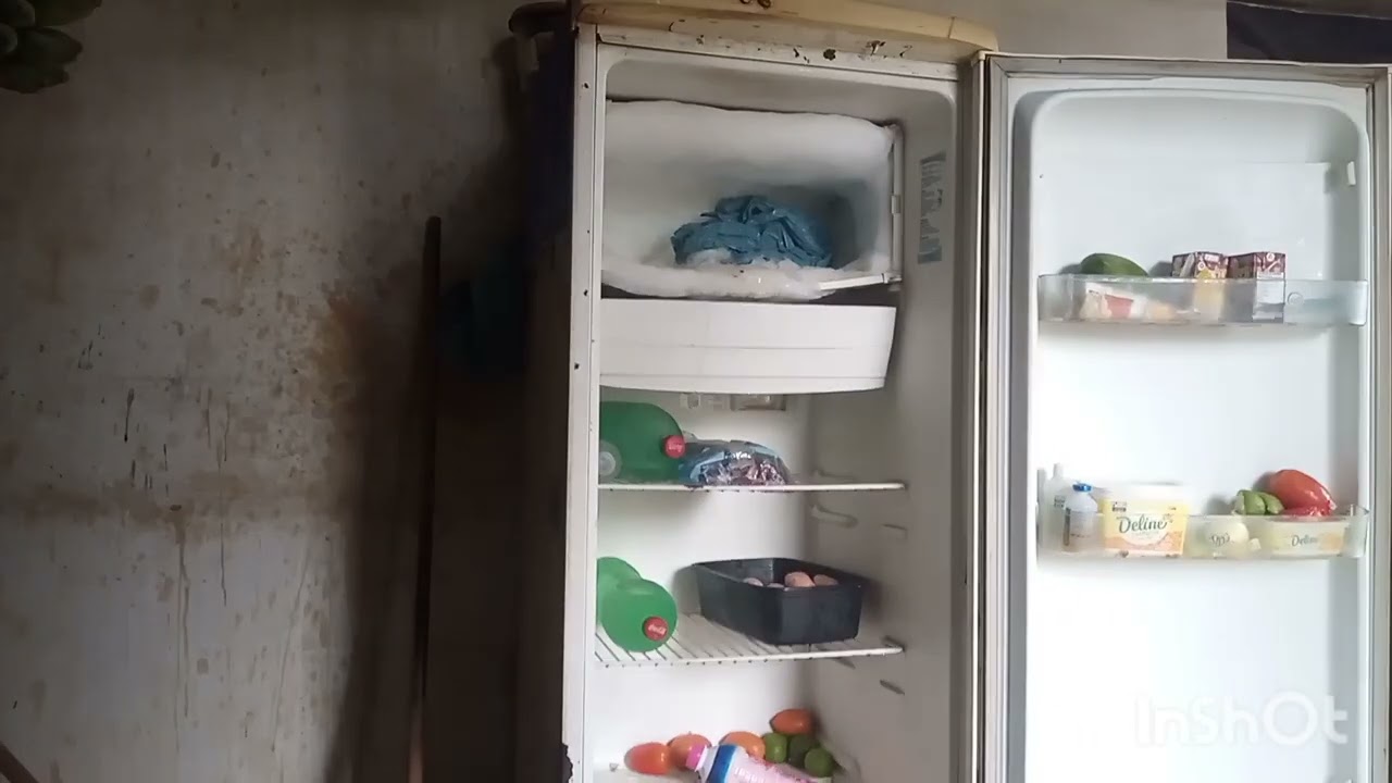 Vou dar uma limpada na geladeira