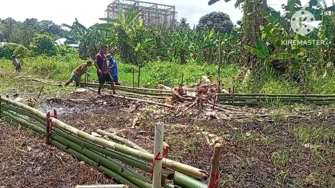 Dokumentasi kegiatan gotong royong bakti membuka jalan Baru Dusun V pohon Kec. Sanana Utara. 