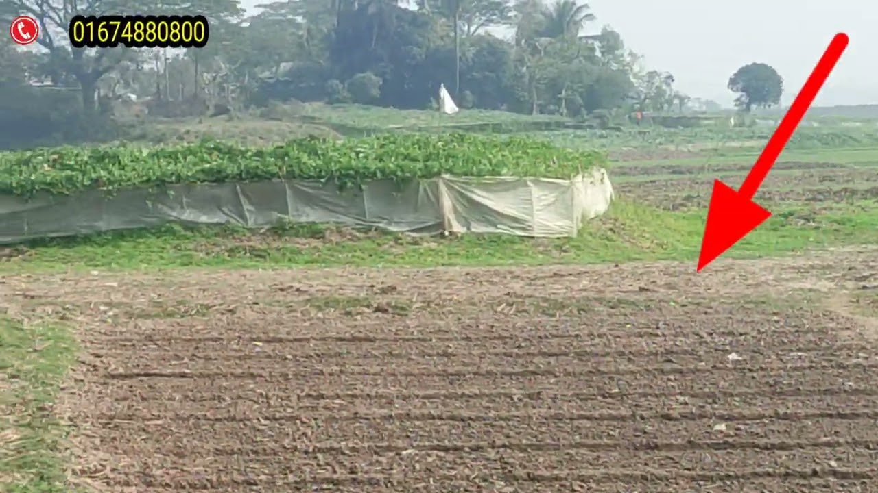 প্রতি শতাংশ মাত্র ২ লক্ষ ৮০ হাজার টাকা সরকারি 30 ফিট রাস্তার সাথে বনগ্রামে ৩০ শত জমি বিক্রয় হবে। 