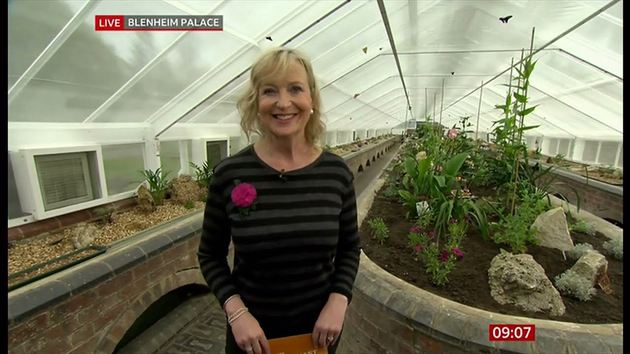 Weather images of the day - Blenheim Palace butterfly house (& laughs) (UK) - BBC - 30/03/2023 (a)