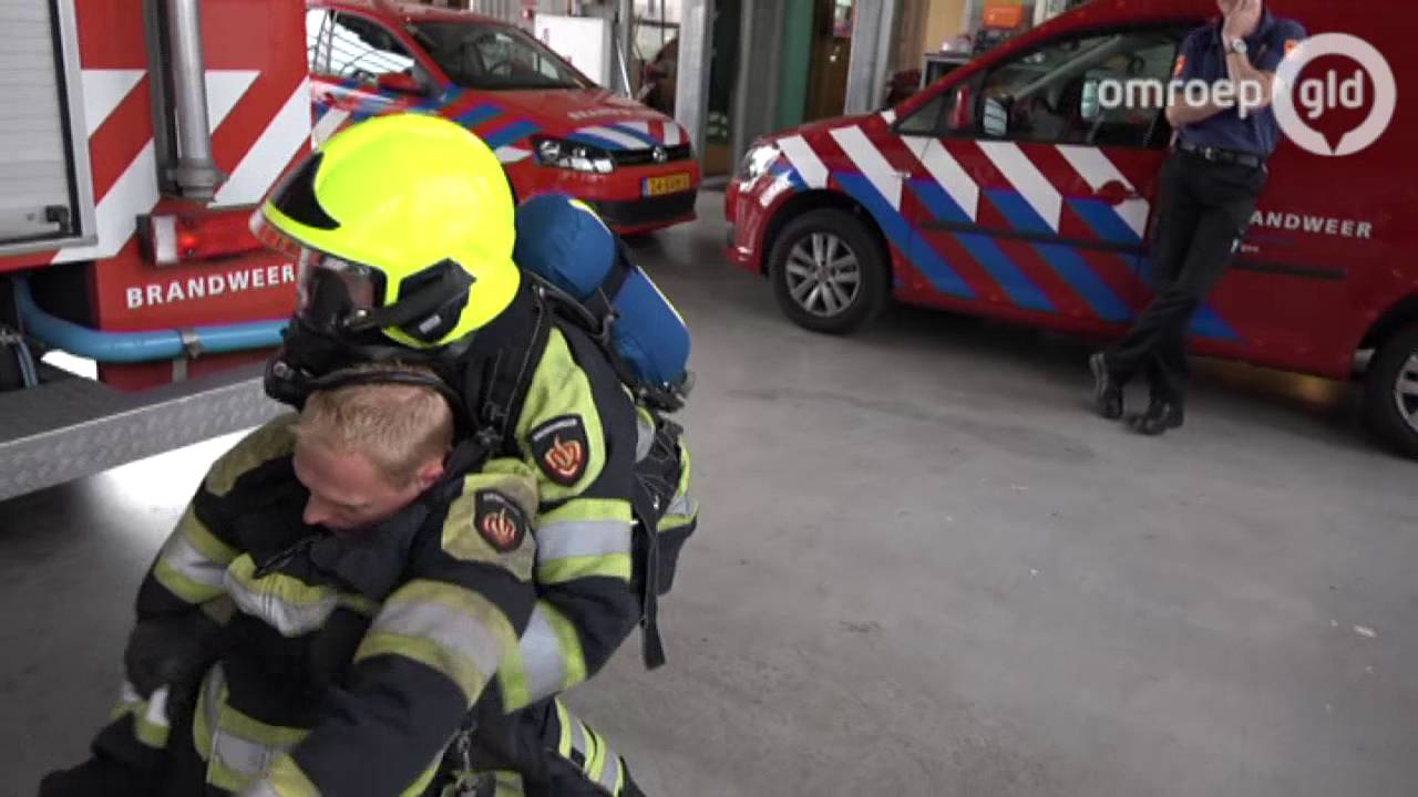 Brandweer Nijmegen en Apeldoorn voert actie: maar ze halen gewoon de kat uit de boom