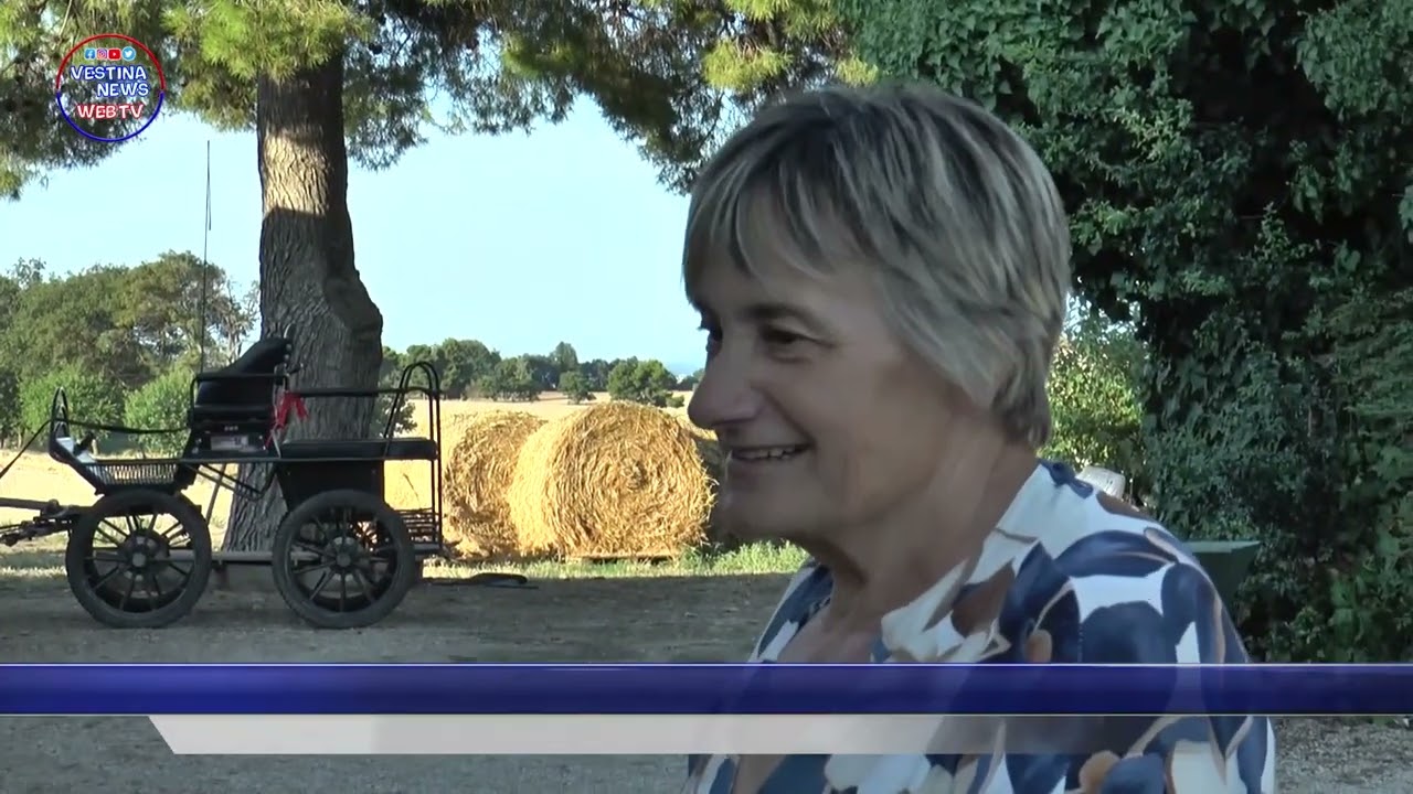 Vestina News puntata del 9 settembre 2025