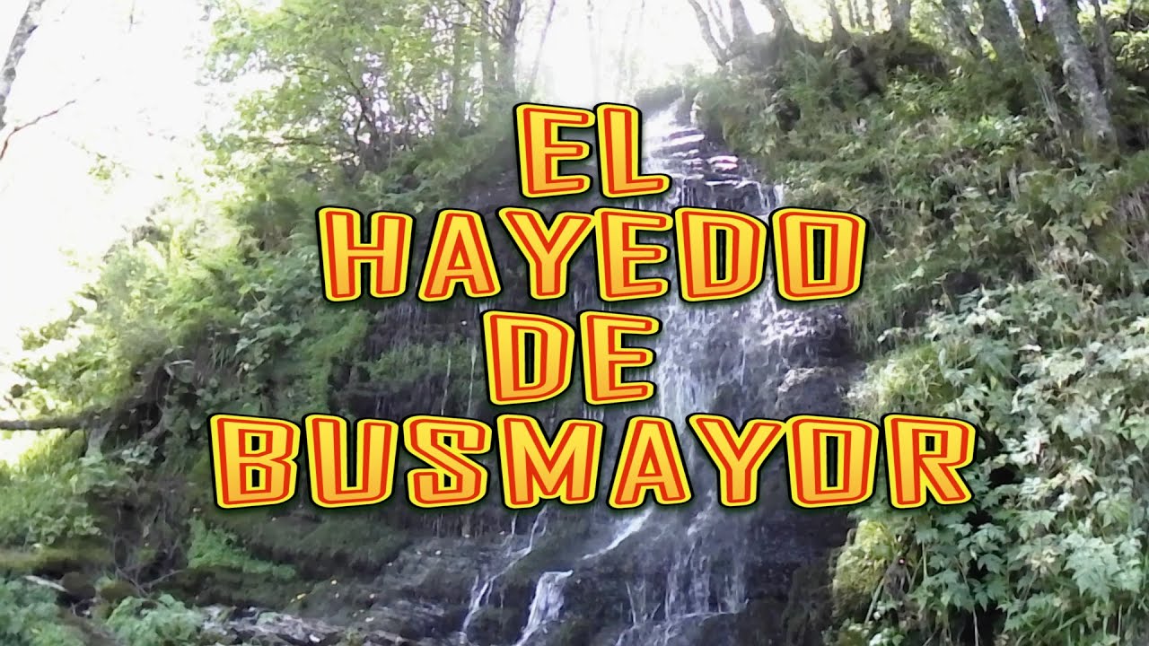 HAYEDO DE BUSMAYOR, Bierzo, Leon, Spain