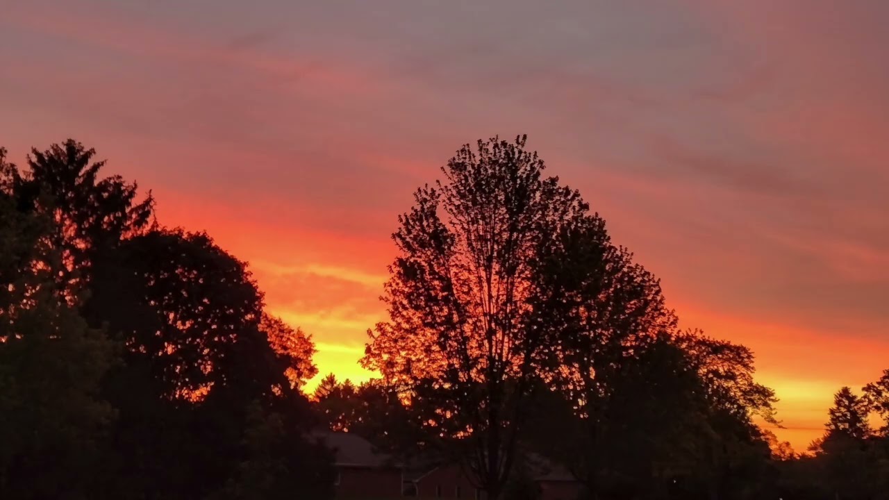 Two full hours of ambient music to help you focus and rest.