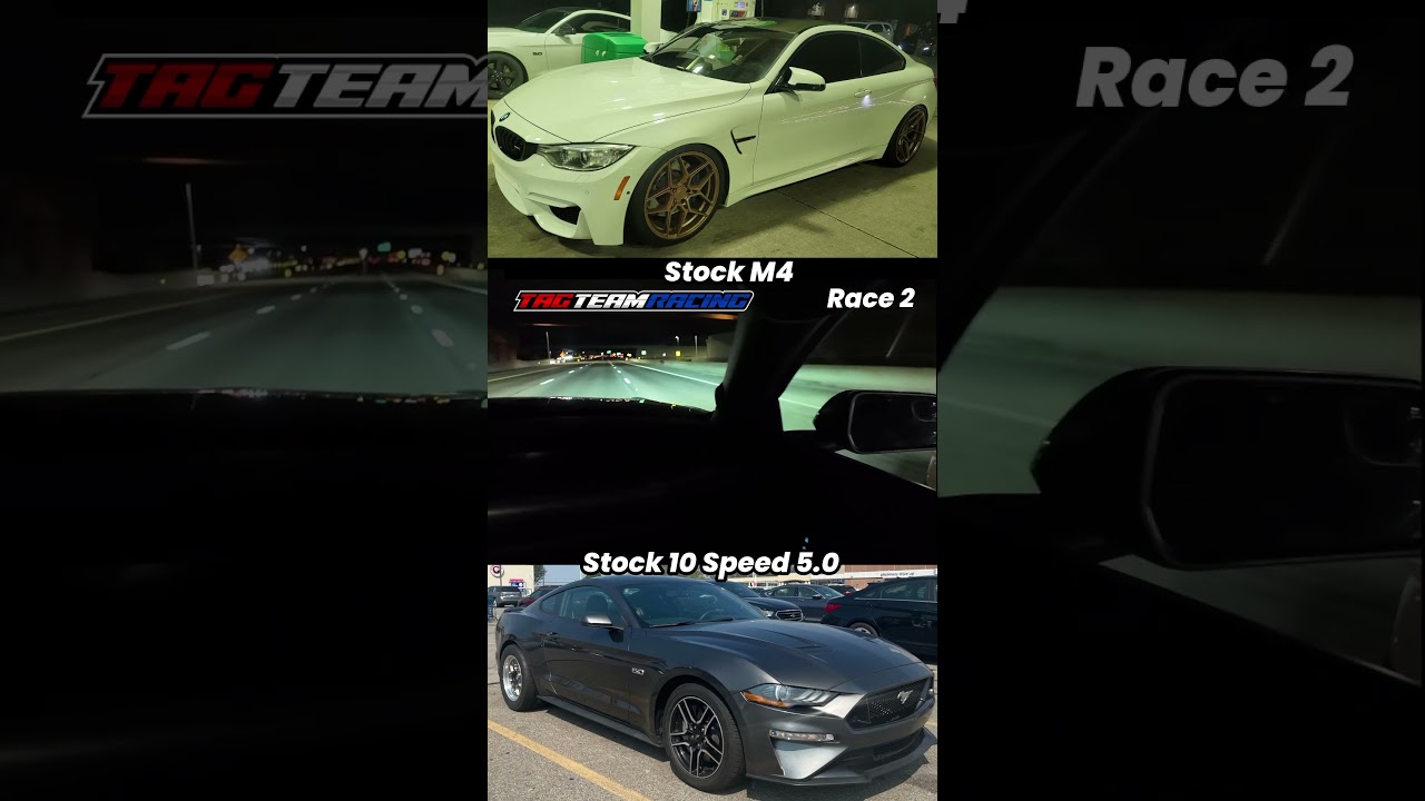 Stock M4 vs Stock 5.0 10 Speed 🔥#ford #mustang #mustanggt #10speedmustang #bmw #bmwm4 #racing