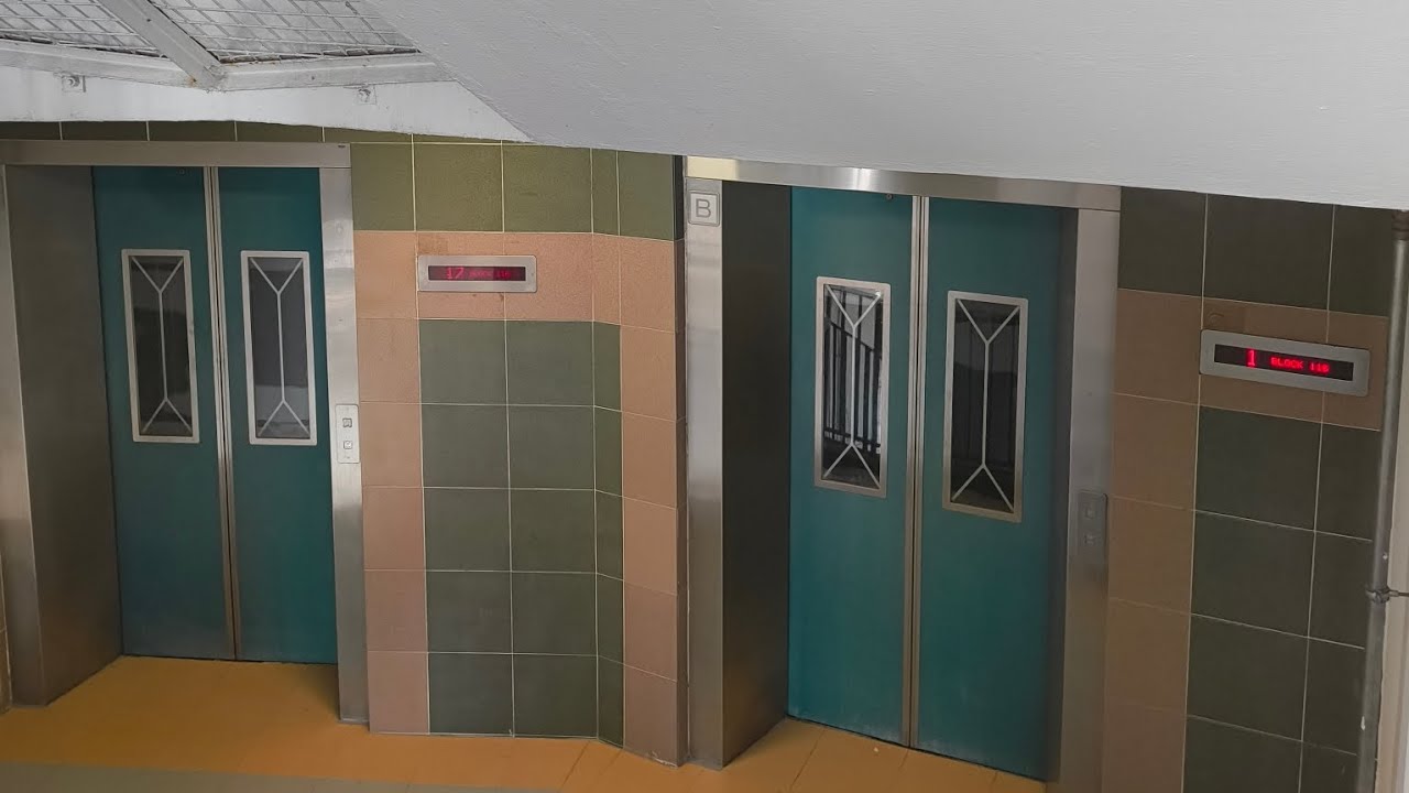 All DONG YANG Elevators Left at Block 116 Toa Payoh