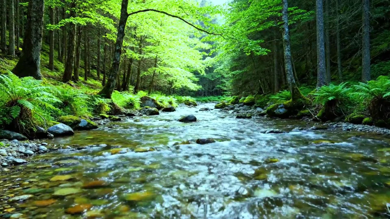 Sleep without music Soothing sounds of calming forest water