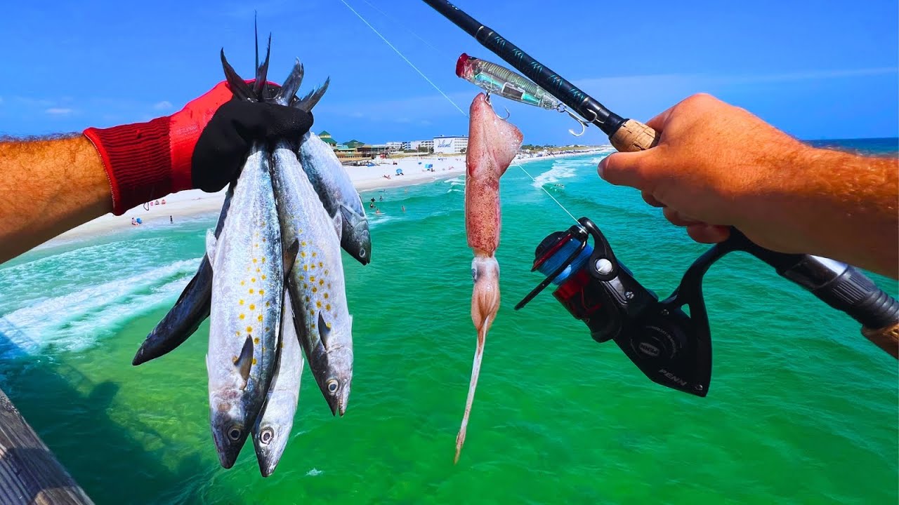 3 Hours of Fishing n' Crabbing in Florida!