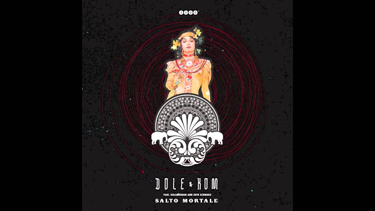 Dole & Kom - Fly Bar feat  Seth Schwarz - 3000grad Records