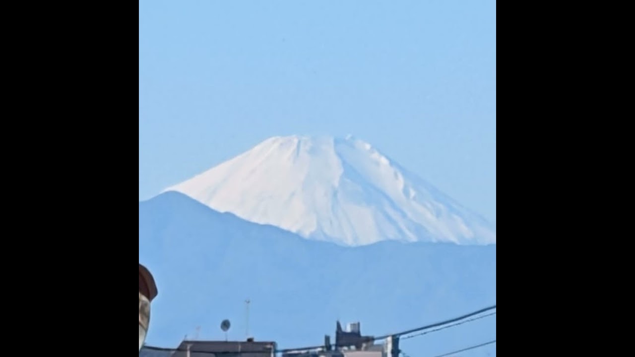 #1706【癒心地カフェ☕LIVE♪】お散歩継続報告とやべぇヤツ🍀