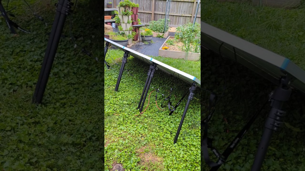 I Set Up 4 Solar Panels in My Backyard with these portable stands!