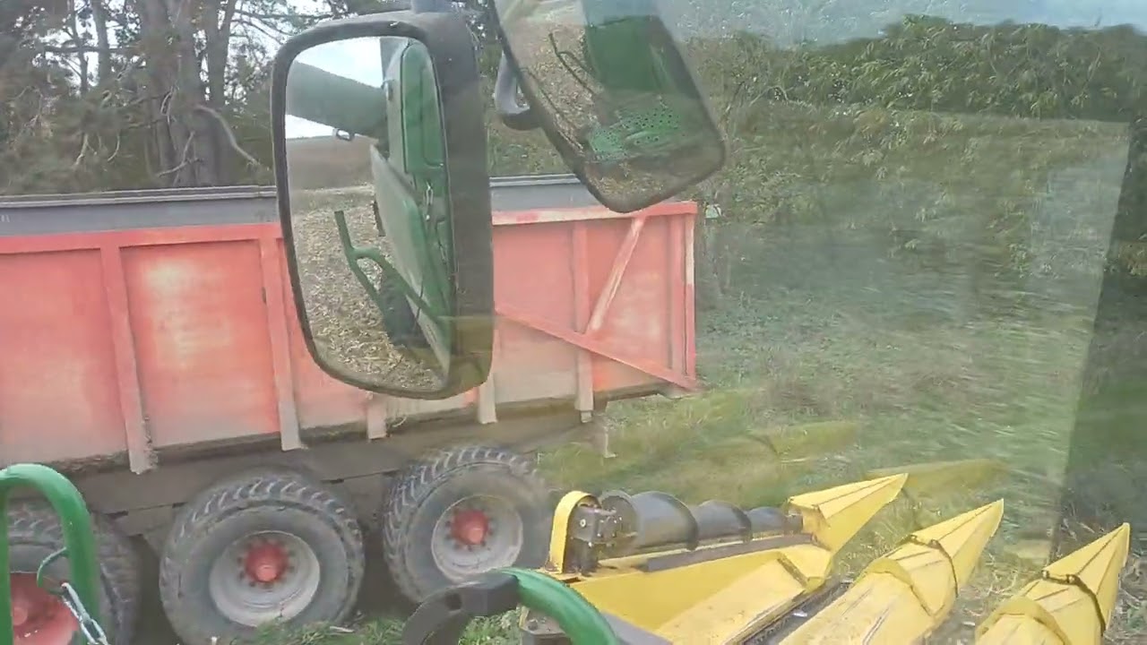 Récolte du Mais grain avec une JD verte Cueilleur12 rangs Fantini