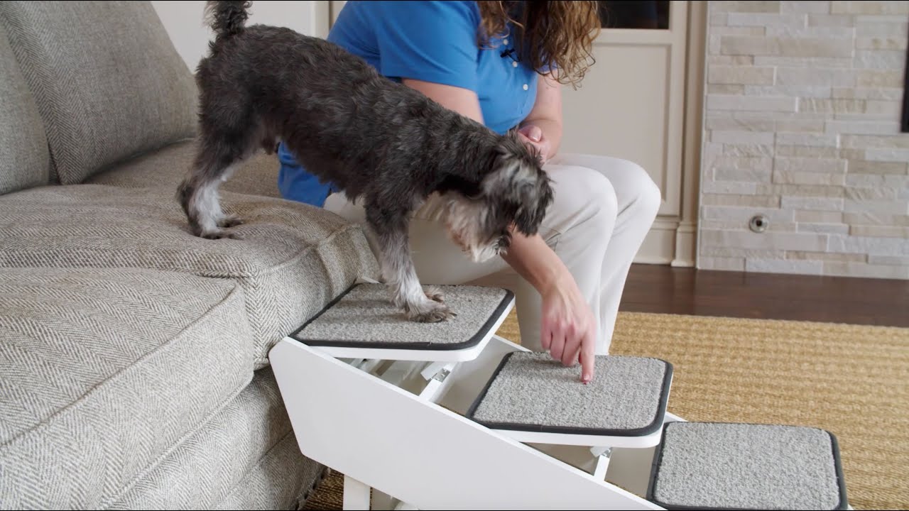 How to Train your Dog to use the CozyUp&trade; Steps & Ramp Combo