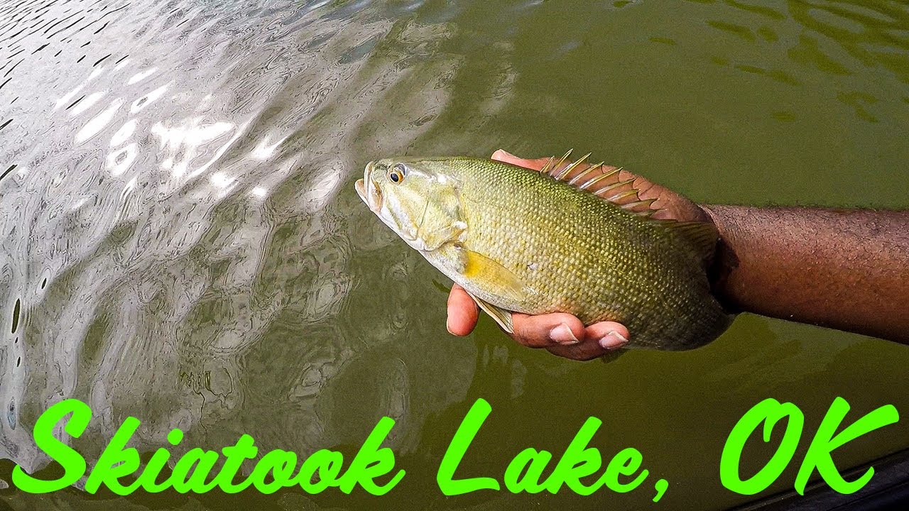 Fishing Skiatook Lake Looking For Smallmouth BASS!