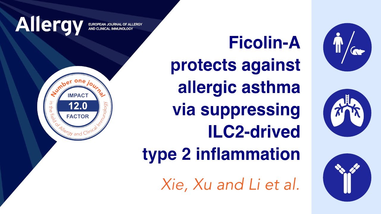 Ficolin-A Protects Against Allergic Asthma via Suppressing ILC2-Drived Type 2 Inflammation