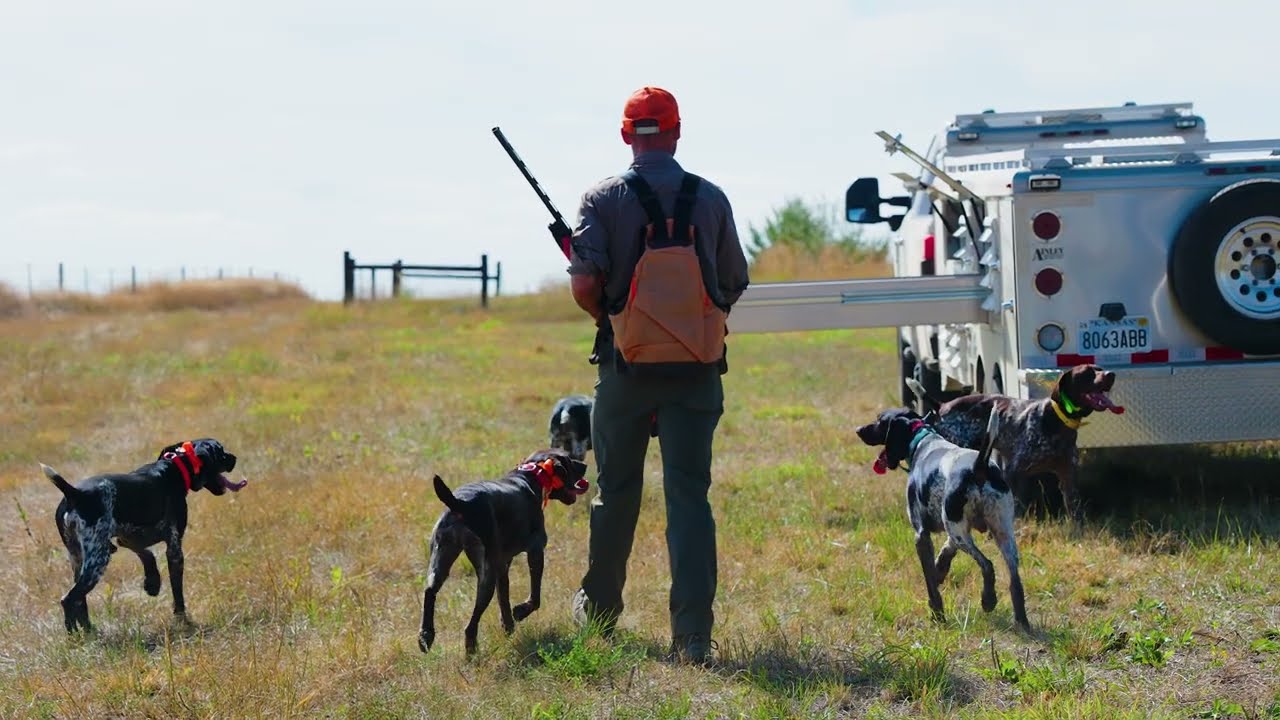 DT Systems SPR 5300 Long Range PRO Trainer - For Upland Bird Dogs, Waterfowl Retrievers, and More!!!