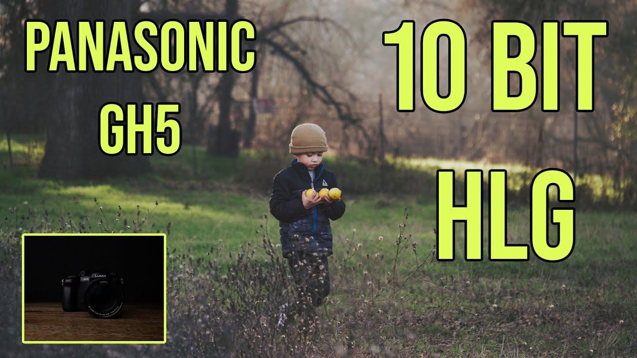 PANASONIC GH5 - HLG 10 bit 4:2:2 Leeming LUT