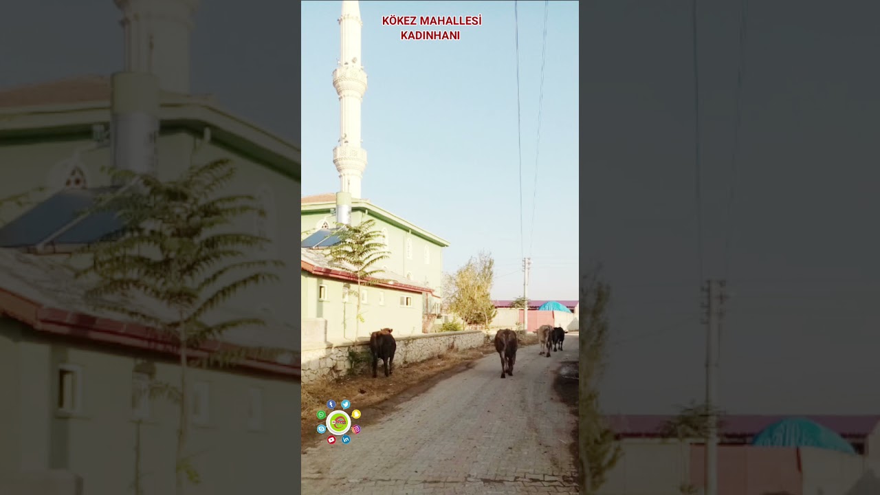 Kökez mahallesi Kadınhanı KONYA
