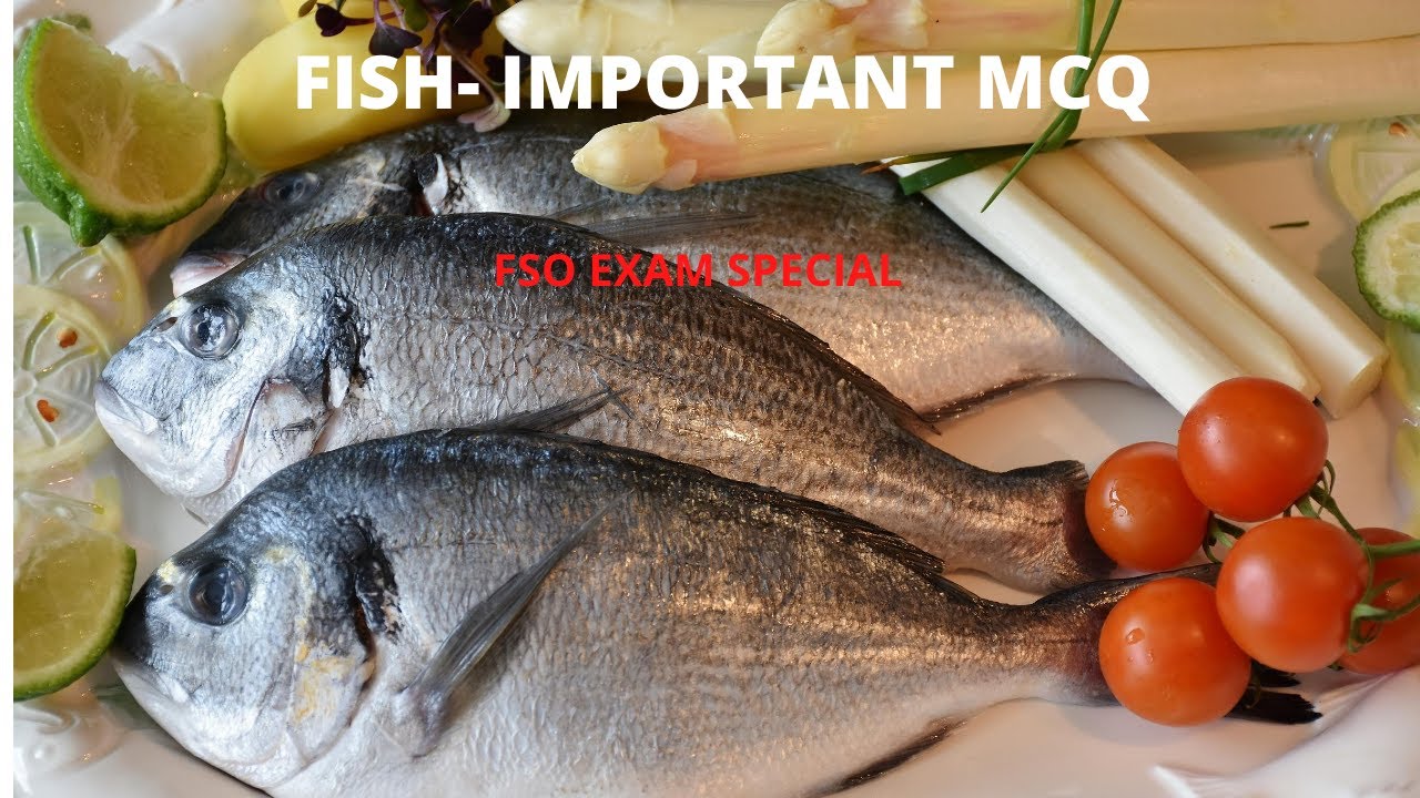 IMPORTANT MCQ- FISH