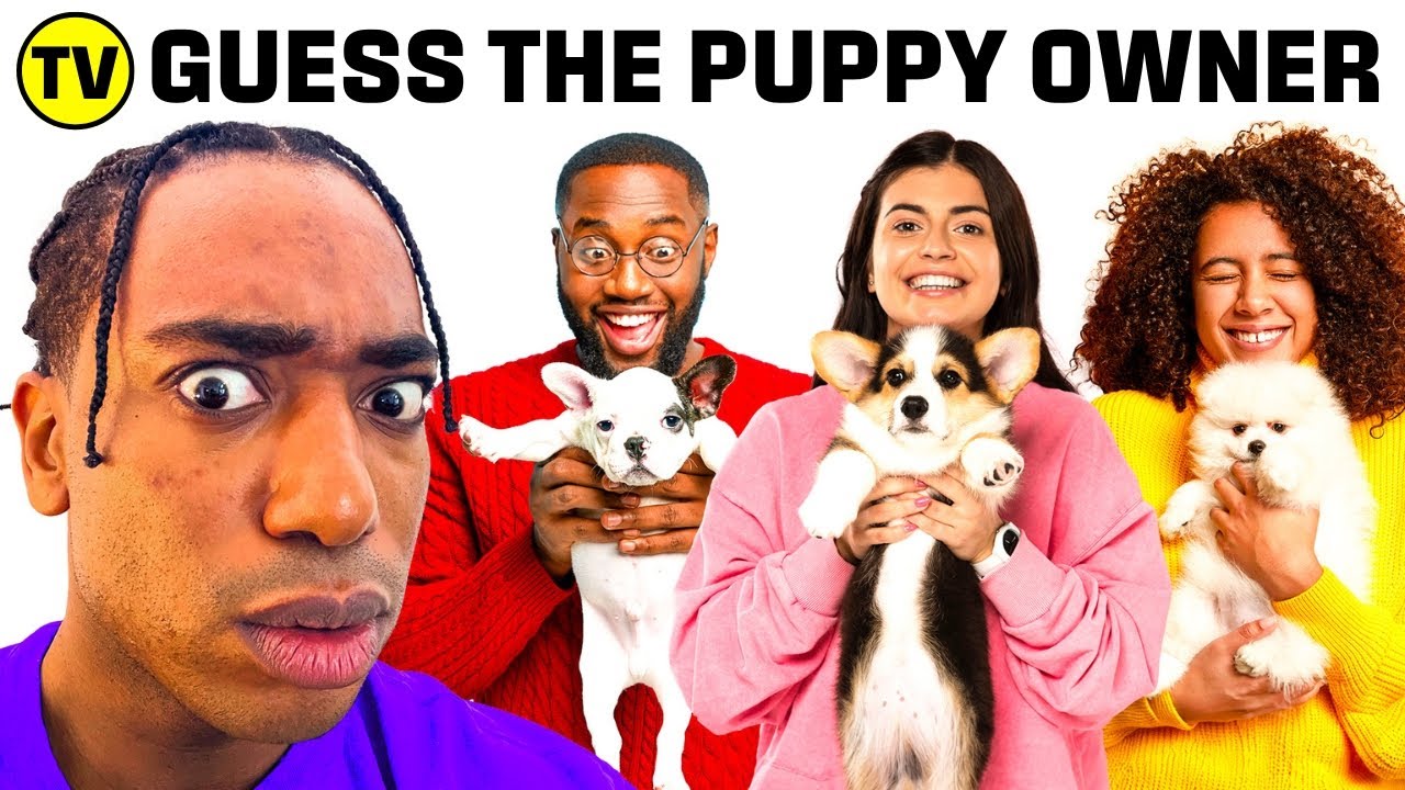 Match The Puppy To Its Owner | Kevin Langue