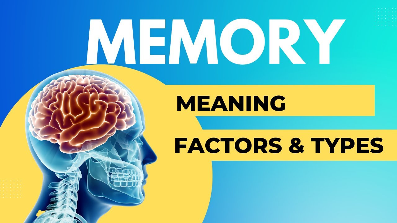 #MEMORY II Meaning II Types II Factors