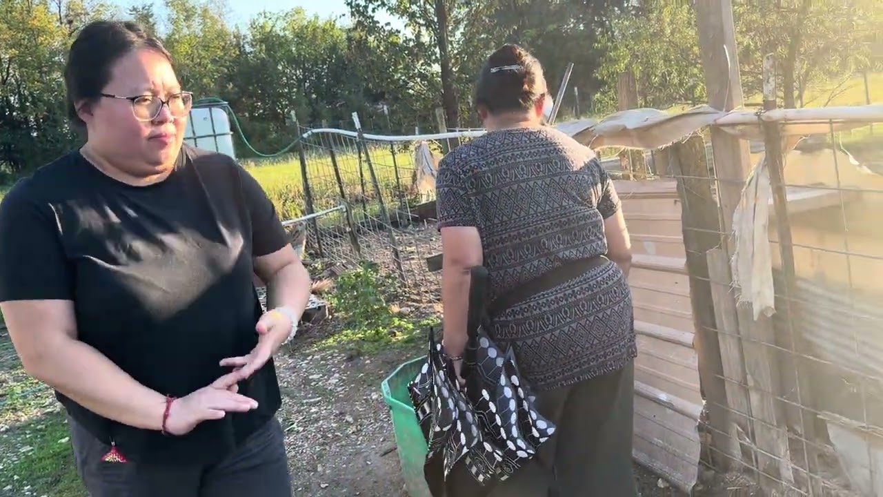 Peb mus pub Hmong Missouri cov Npua 