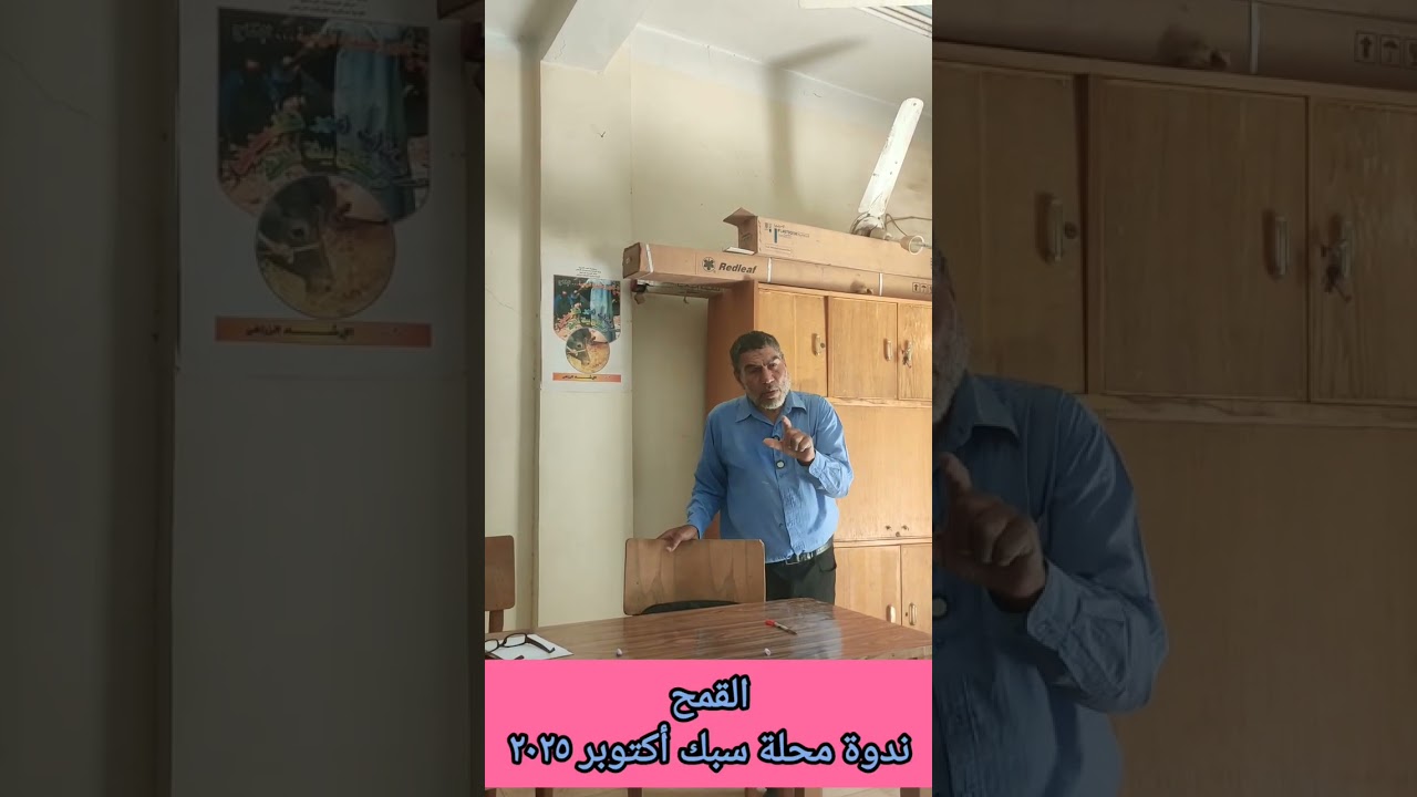 القمح