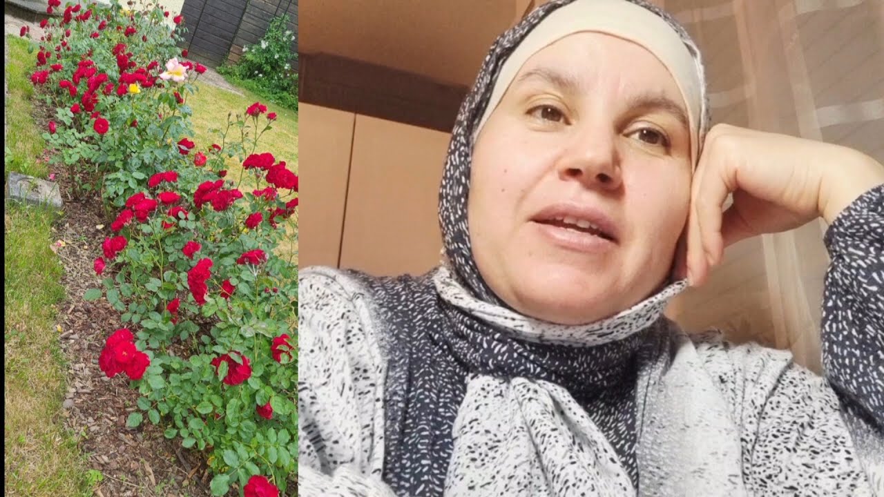 القصة واقعية ديل الأخت  من فرنسا