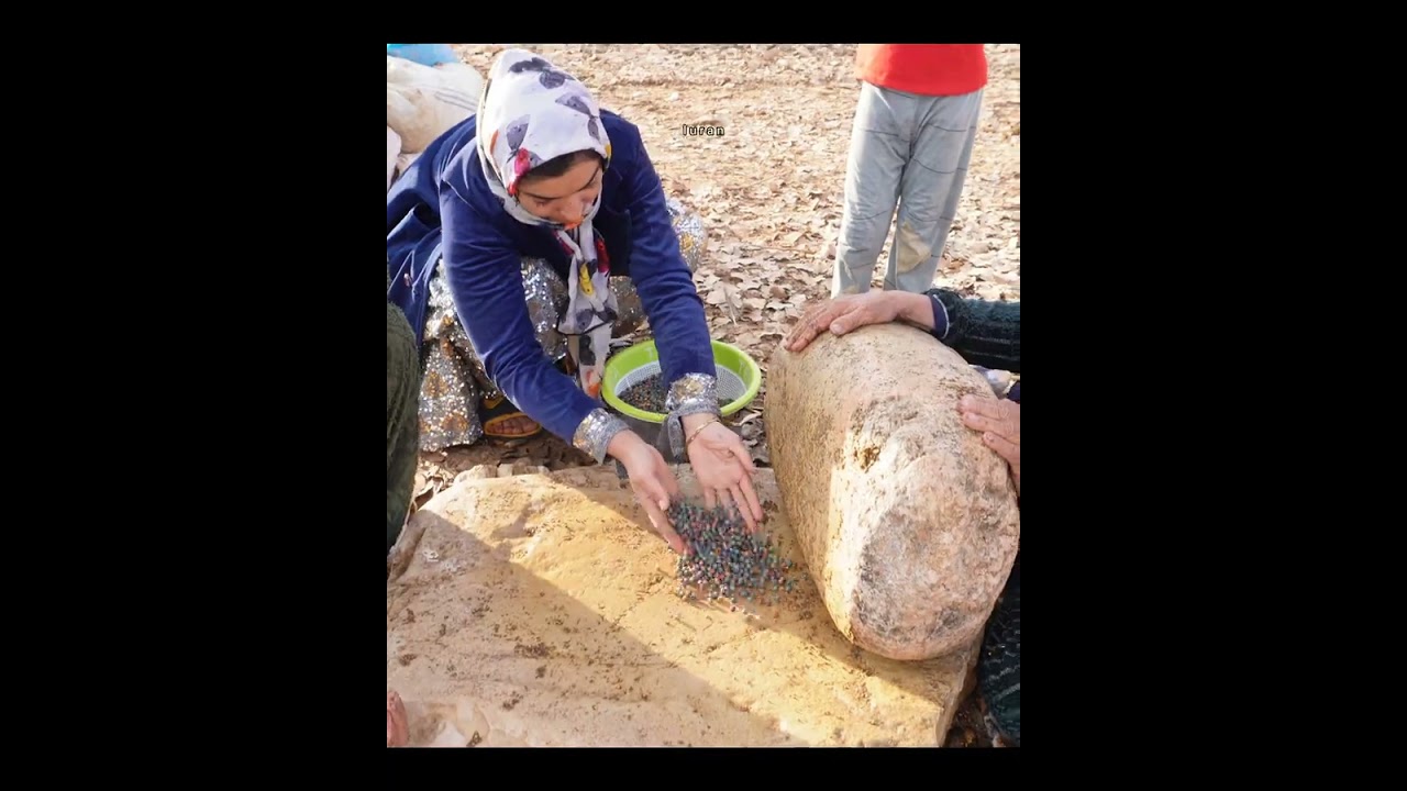 Preparation of traditional mountain pistachio food, Obani, in the nomads of Iran 2023