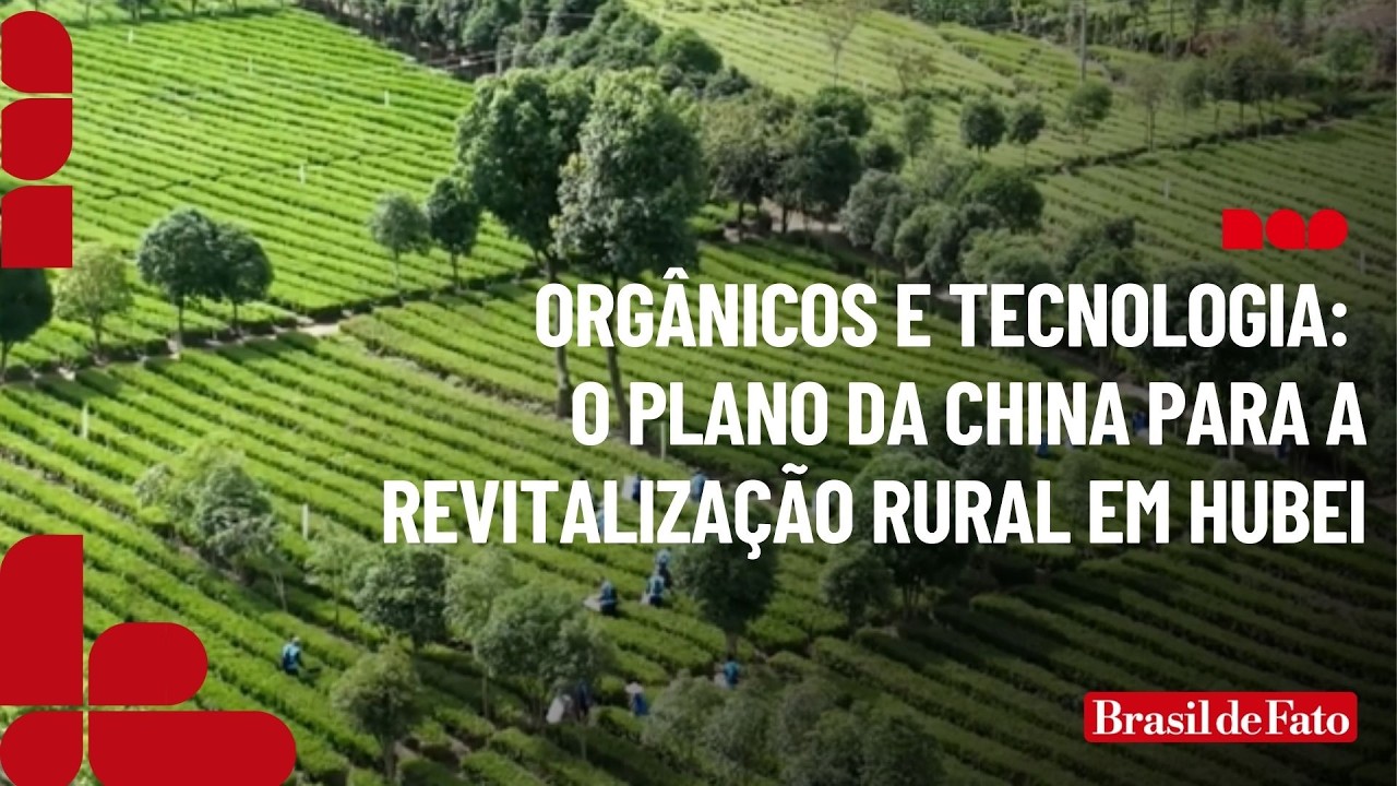 Orgânicos e tecnologia: o plano da China para a Revitalização Rural em Hubei