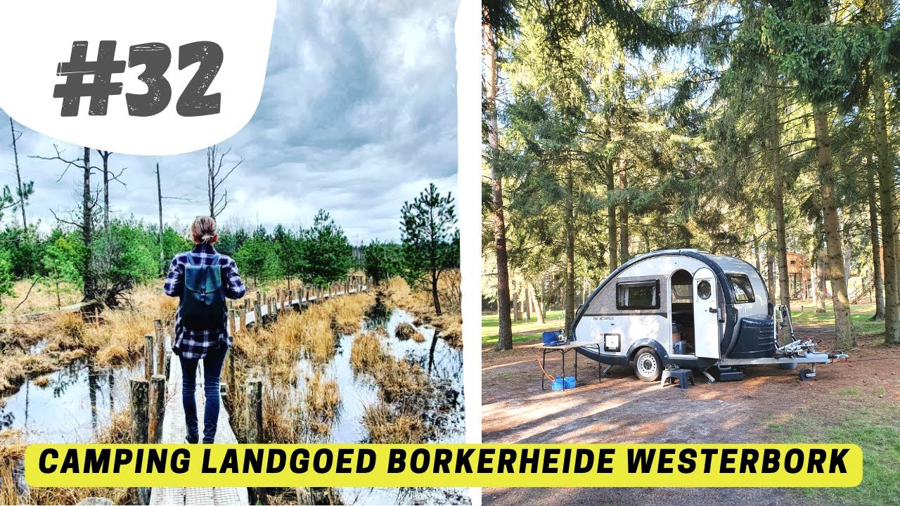 #32 Wandelroute Plankenpad Dwingelderveld I LANDGOED BÖRKERHEIDE WESTERBORK