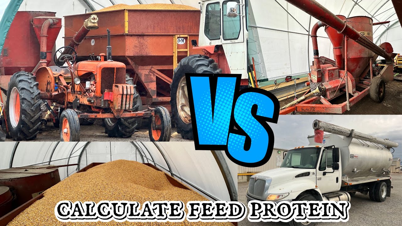 How we will save money on the farm!?!// Grinder-mixer tutorial, and calculating feed protein🤔