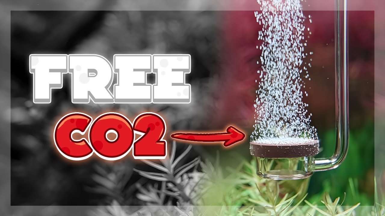 How to Make a long lasting DIY CO2 System - CHEAP & EFFECTIVE