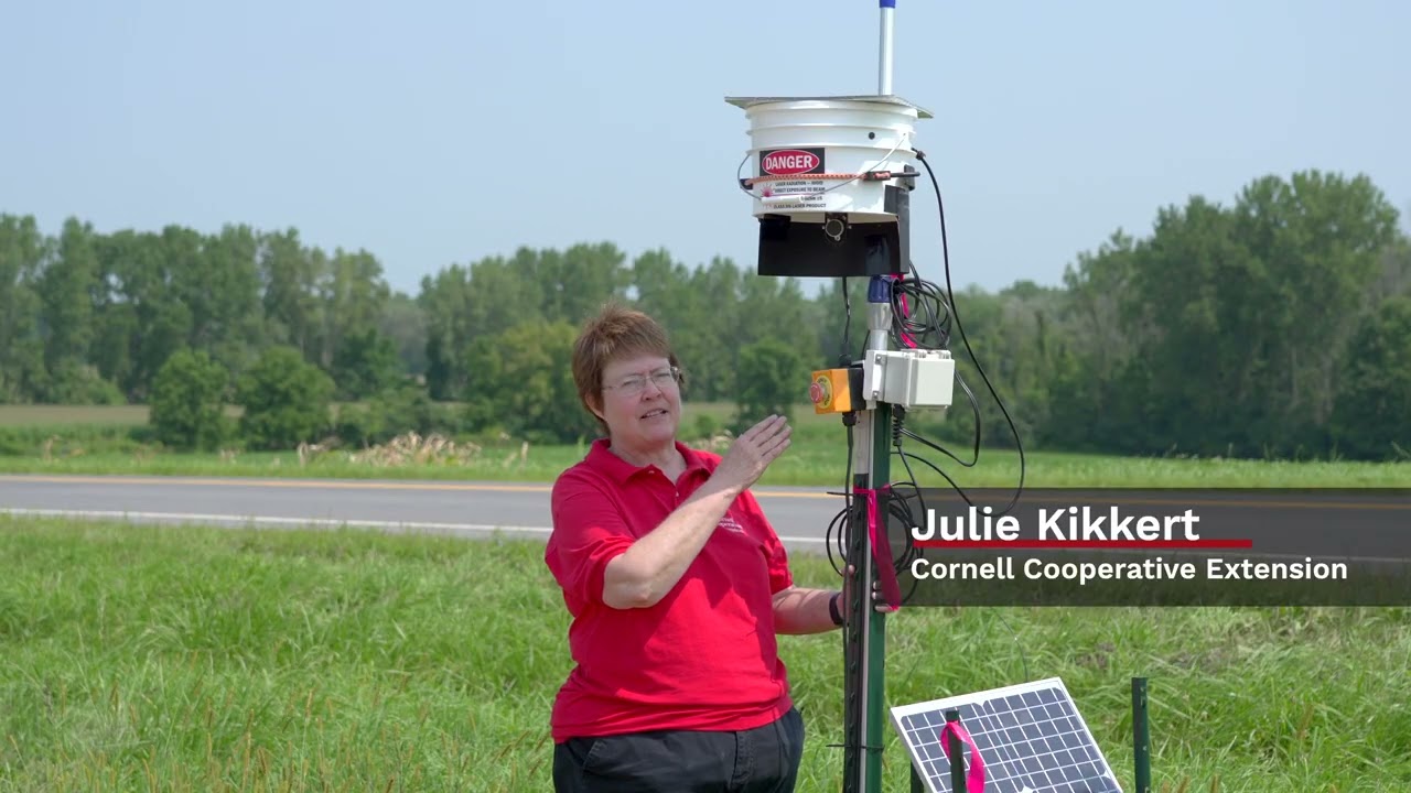 Part 3 – Laser Scarecrows: Components, Safety, and Placement in a Sweet Corn Field