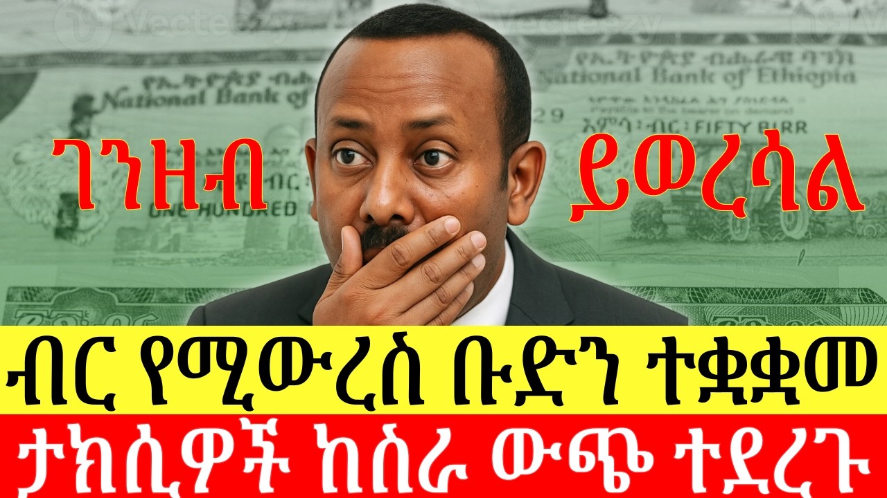 ብር የሚወረሰው እንዴት ነው? ለምን ብር እንዲወረስ ተወሰነ? ታክሲዎችስ እንዴት ከስራ ውጭ ሆኑ? Addis Business