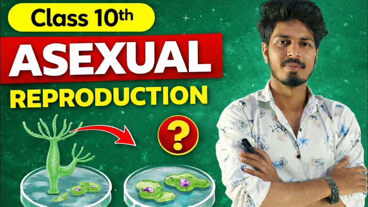 Asexual Reproduction | Class 10 Science | NCERT Explained | By Hassan Sir