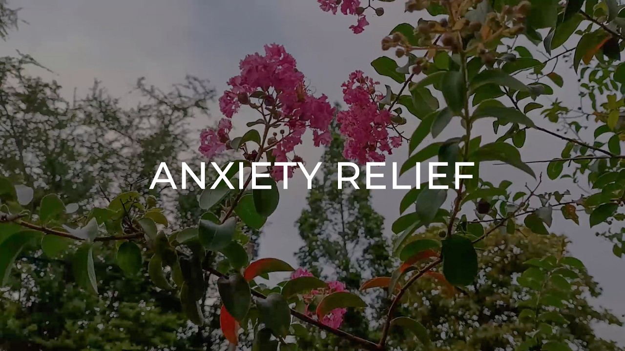 Calming Music for Anxiety Relief