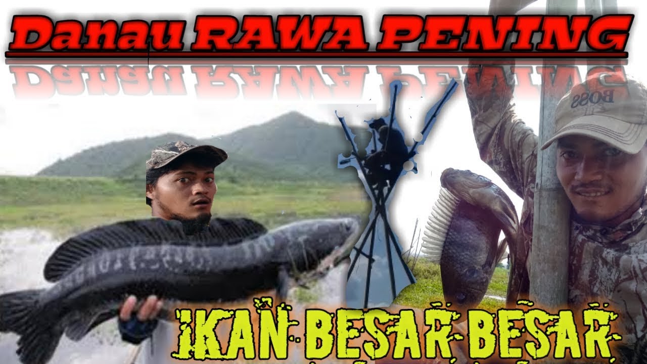 Paser mania Danau penuh dengan ikan