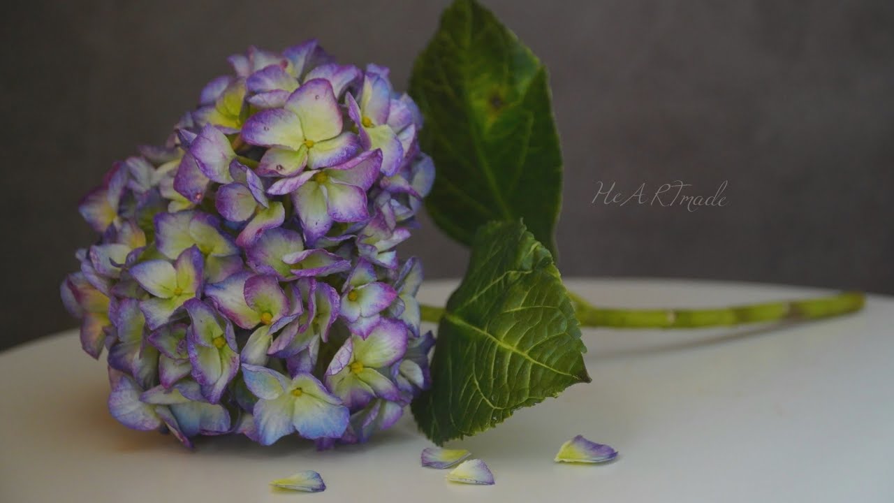 Cách làm hoa Cẩm Tú Cầu bằng đất sét/ How to make Hydrangea by clay (part 3)