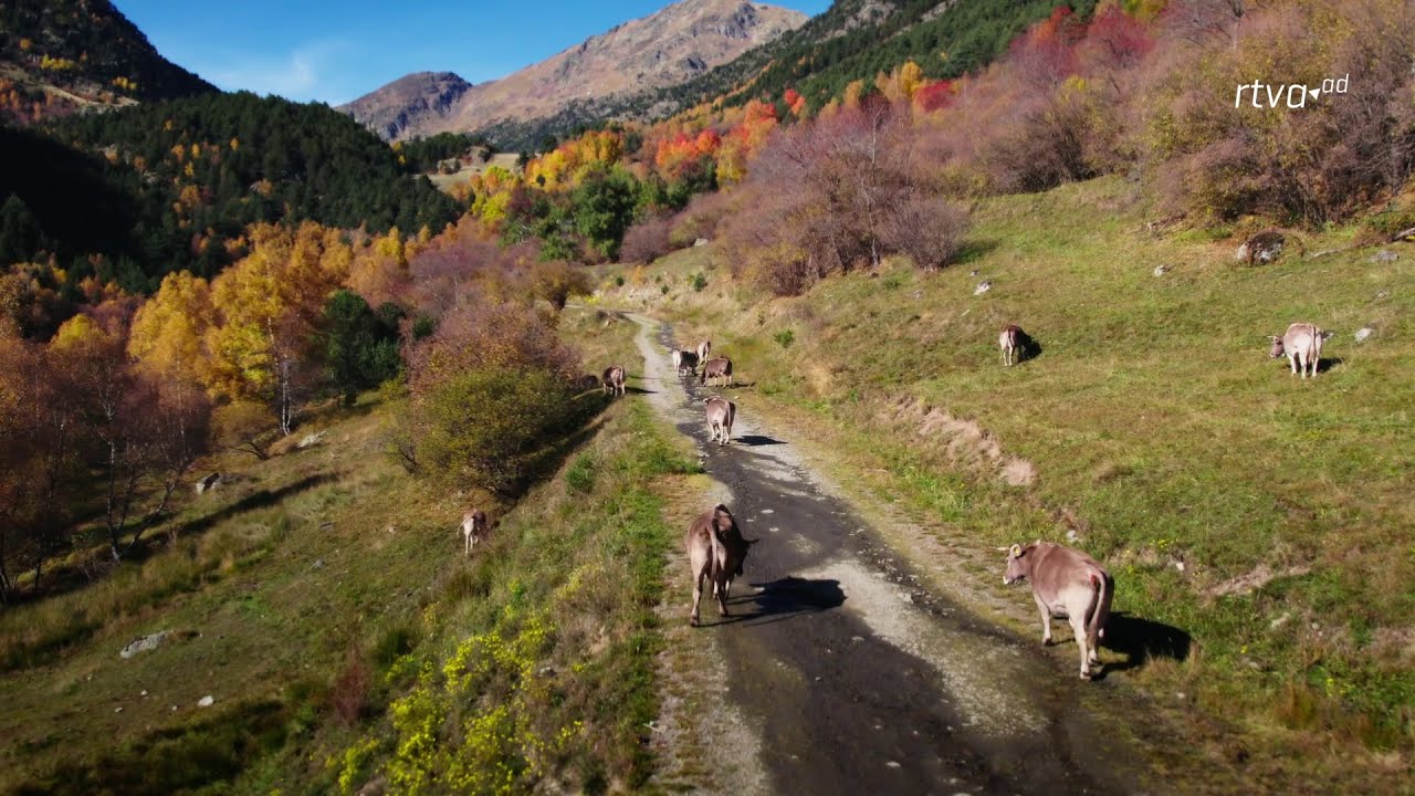 Imatge tardor 2025 ATV