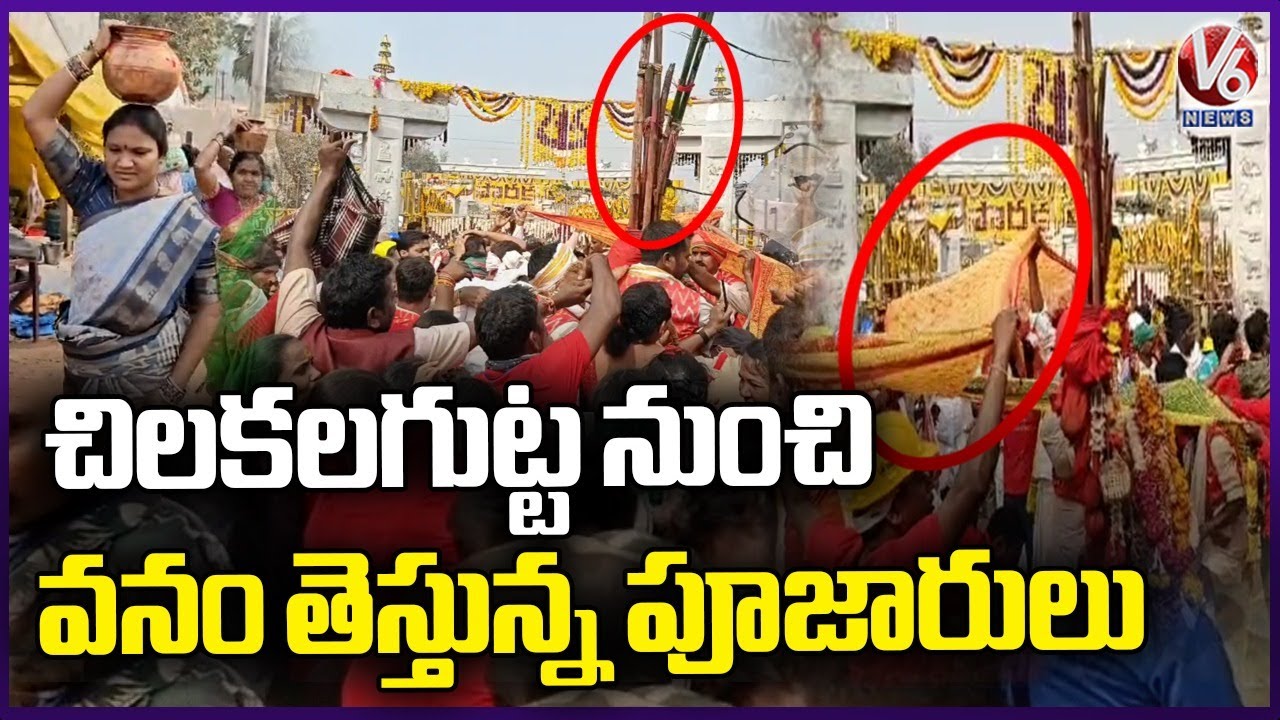Priests Bringing Vanam To Medaram From Chilakalagutta | Medaram Jatara 2026 | V6 News