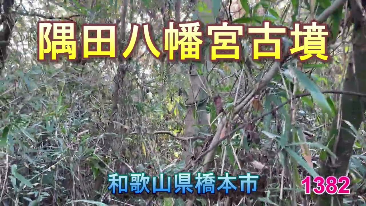 1382隅田八幡宮古墳 0