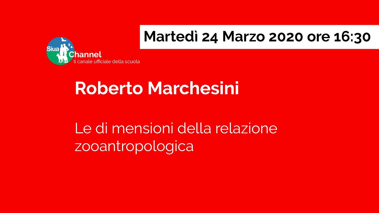 Le dimensioni della relazione zooantropologica di Roberto Marchesini parte 2