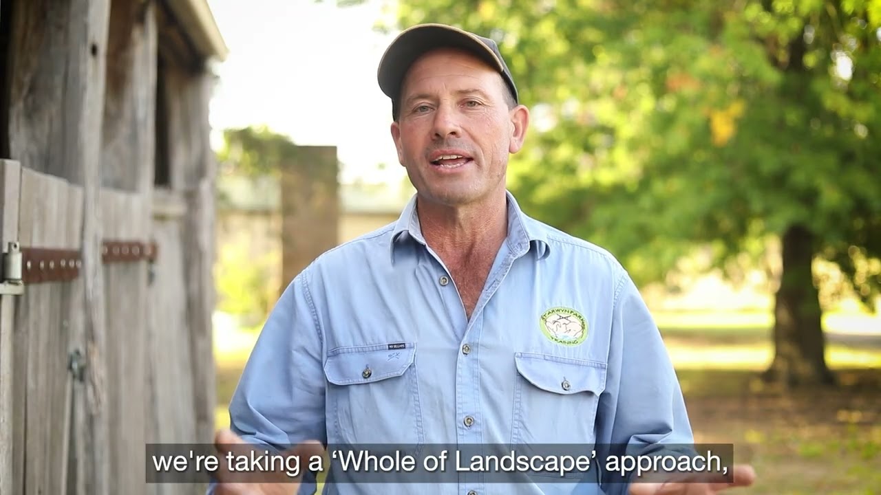 How We Restored Eroded Slopes Using Natural Sequence Farming at 