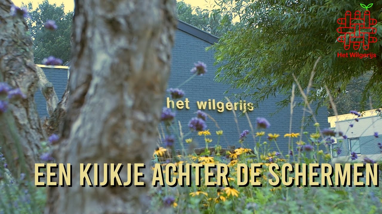 Het Wilgerijs. Een kijkje achter de schermen.