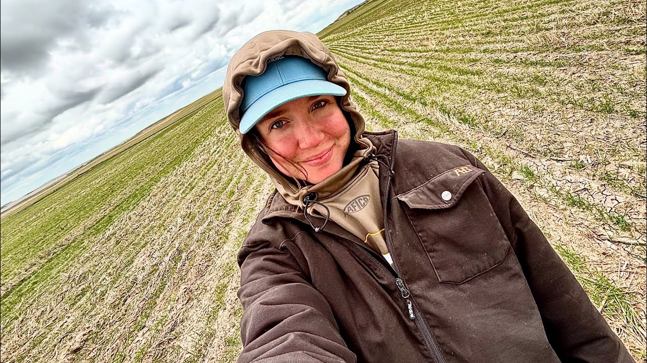 In The Field: Crop Progress, Test Plots & More | Crop Scouting In Western North Dakota
